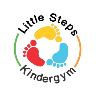 Little Steps Kindergym - To Do Kids